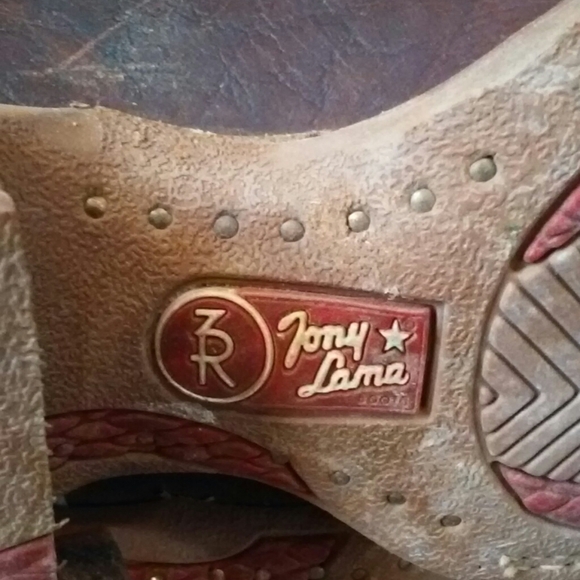 Tony Lana Chisel Toe Cowboy Boots - Picture 4 of 8